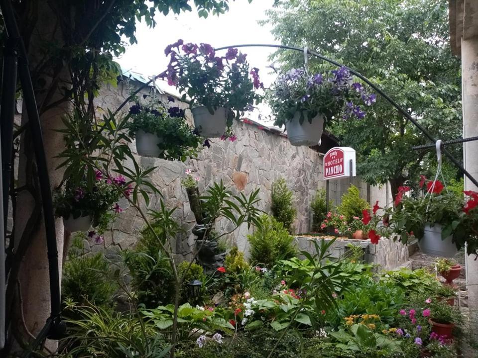 Pancho Family Hotel Kranevo Exterior photo